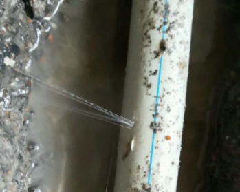 辽阳市卫生间测漏水多少钱