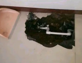 辽阳市卫生间测漏水多少钱